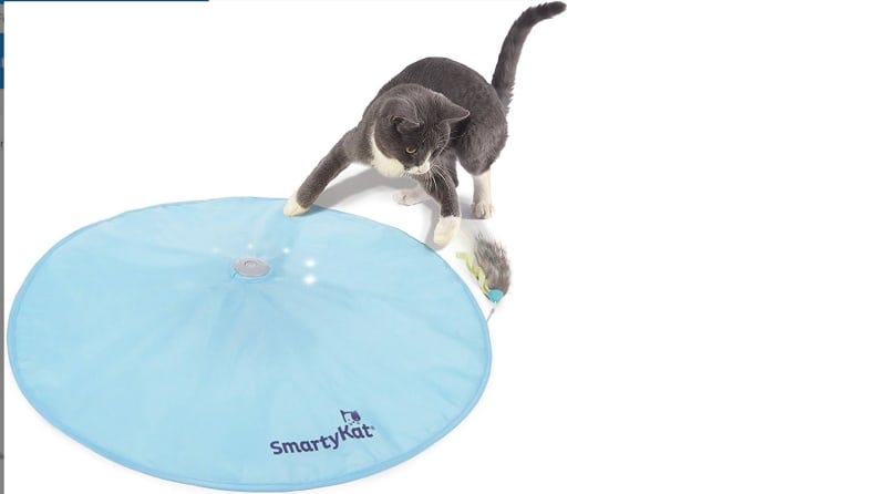 best cat accessories reddit